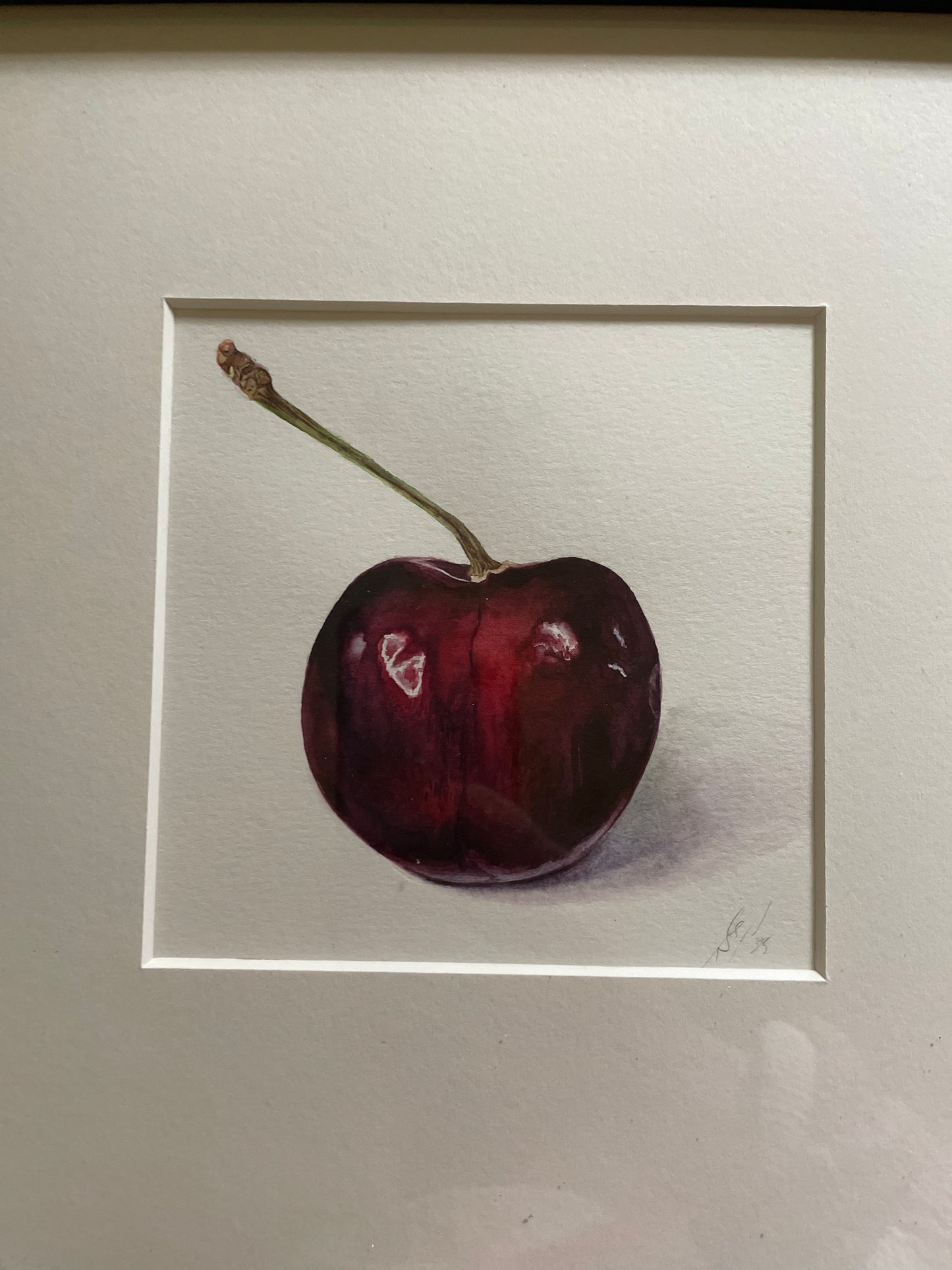 Blackmoor Cherry 'B'