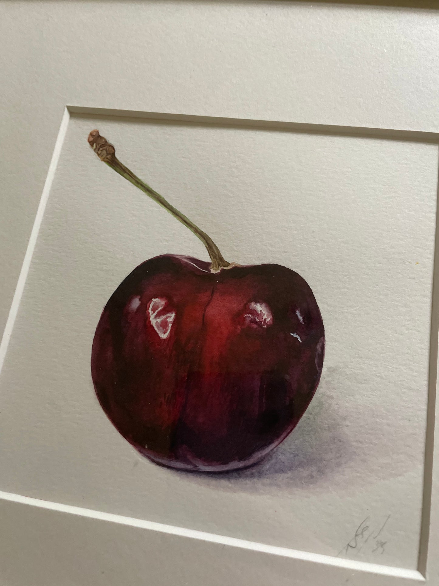 Blackmoor Cherry 'B'