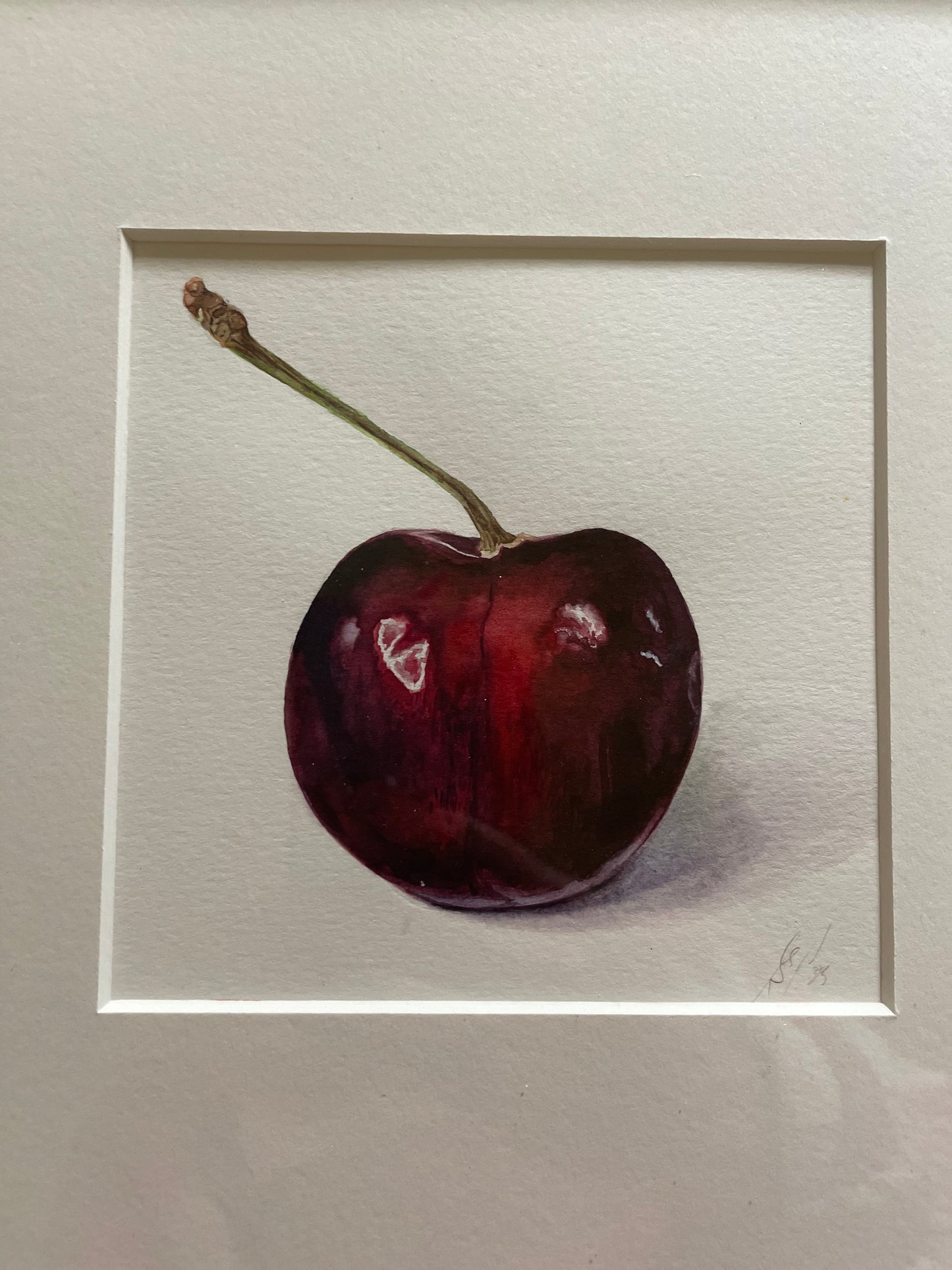 Blackmoor Cherry 'B'