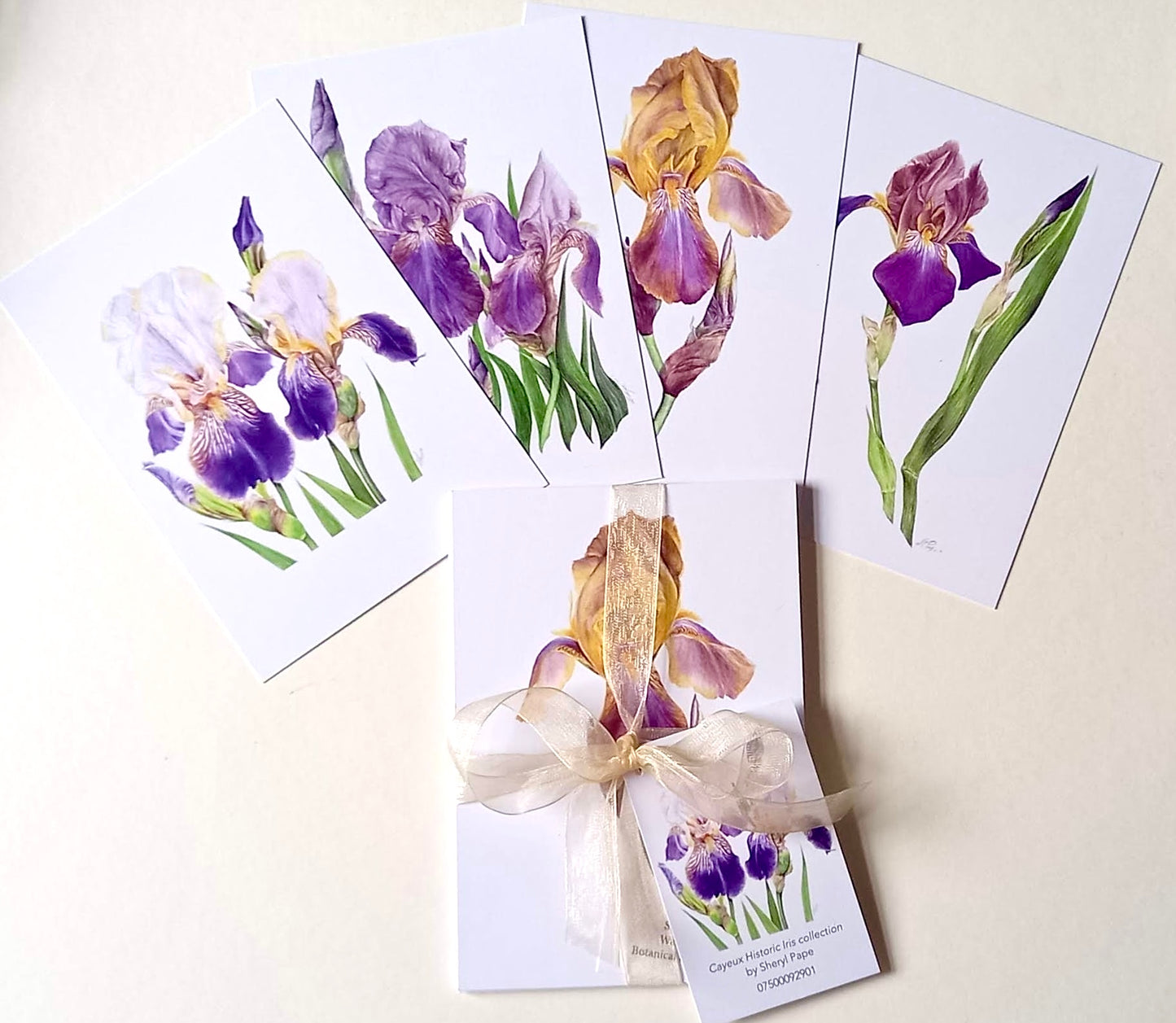 Beautiful Cayeux Historic Iris Greetings Cards Collection