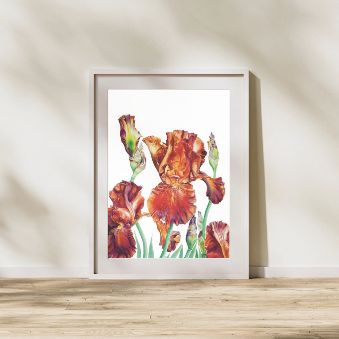Carnival Time (White background) Limited Edition Prints