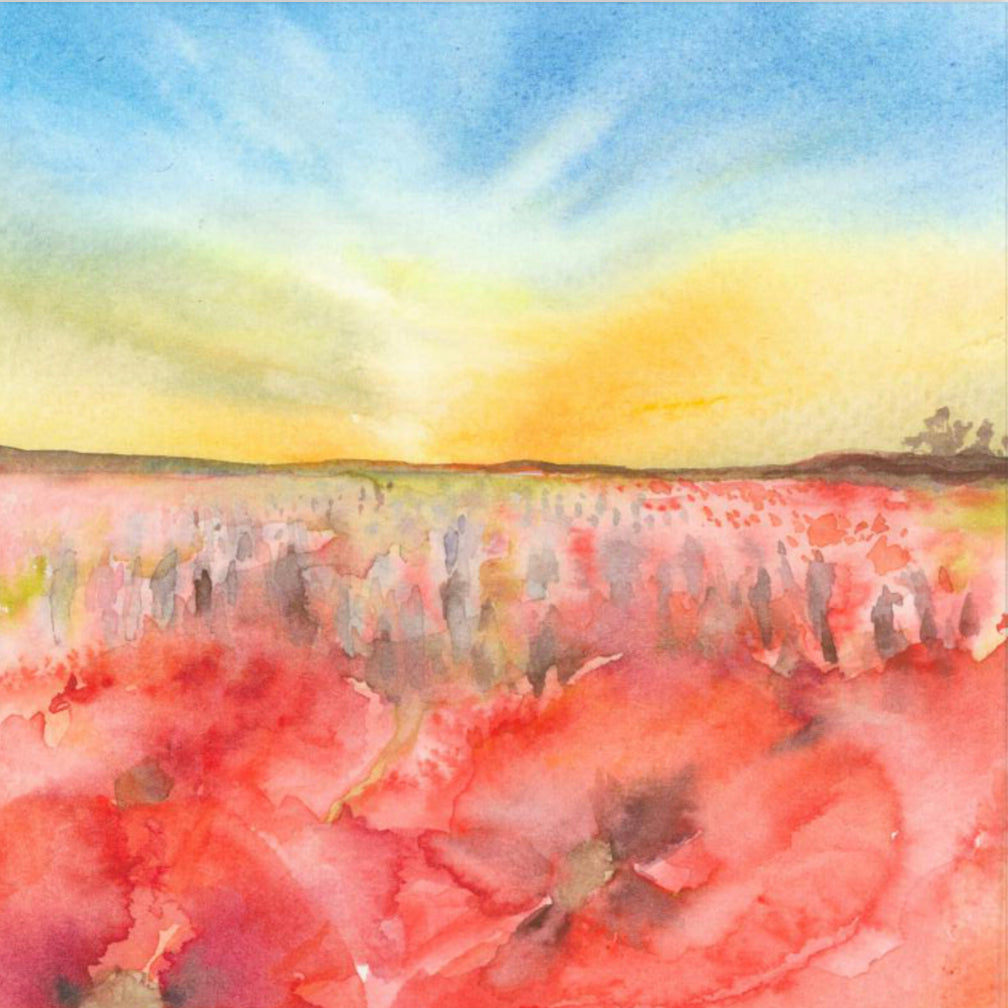ˋPoppies´