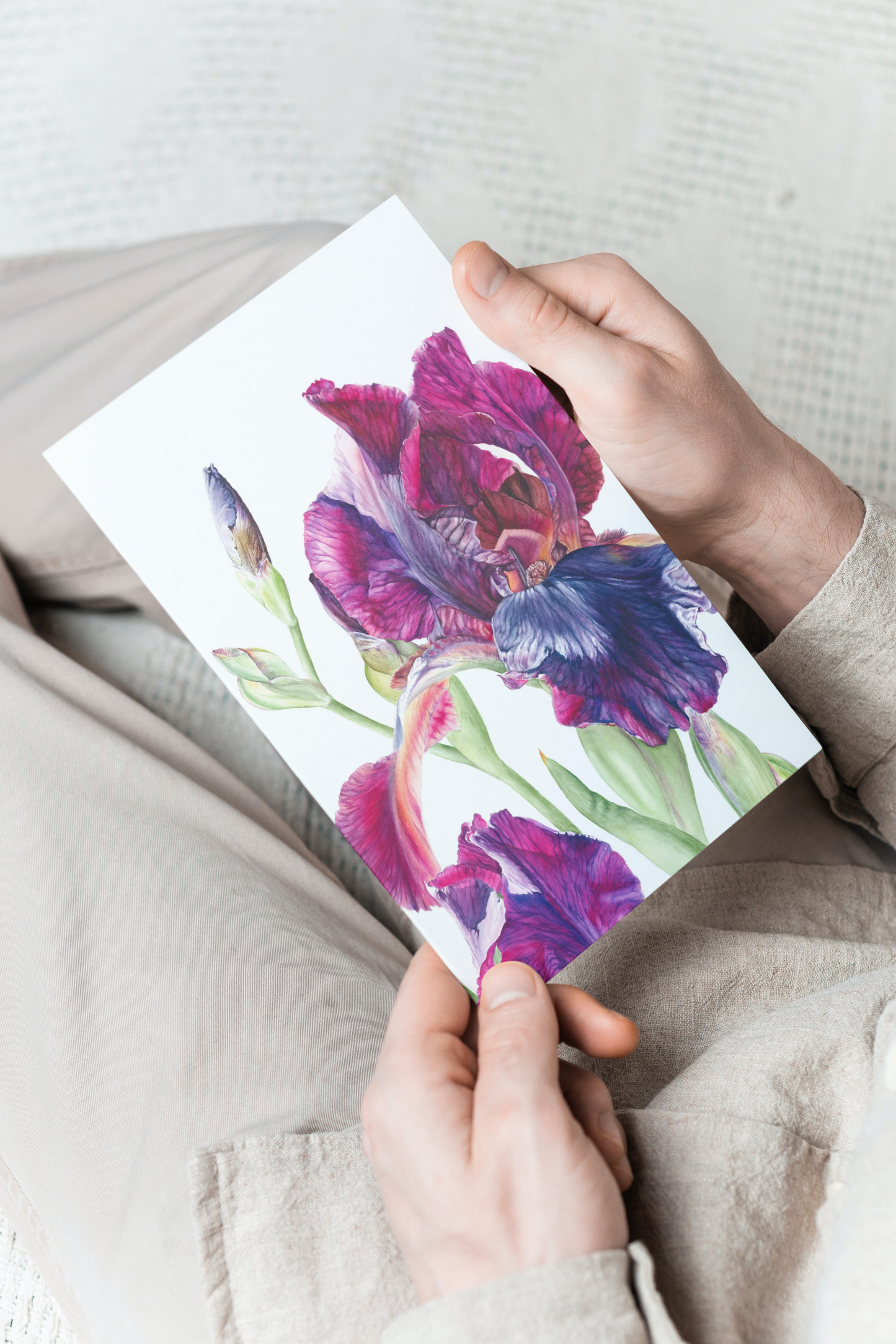 `Iris in The Sunlight’ Greetings Cards Collection