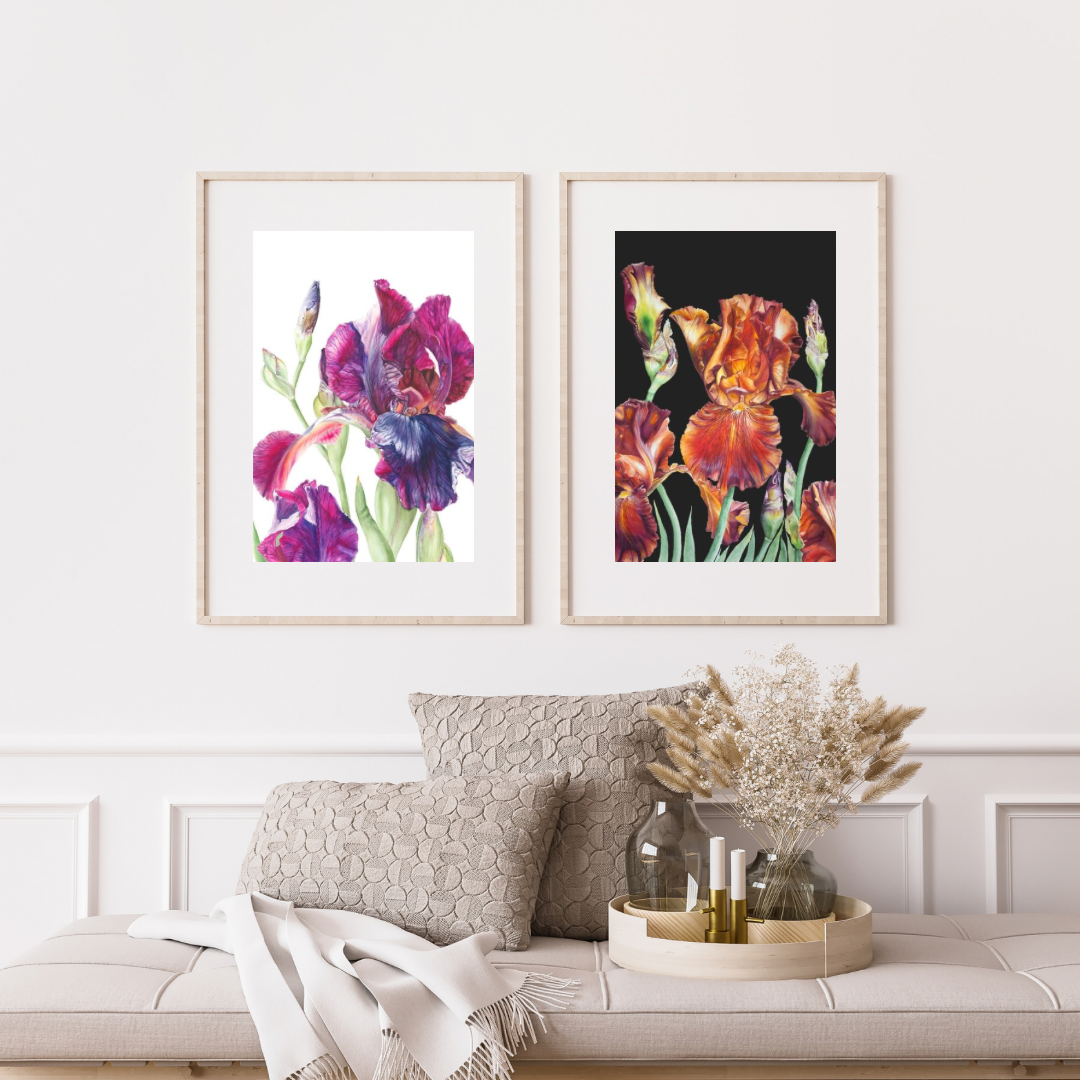Carnival Time (Black background) Limited Edition Prints