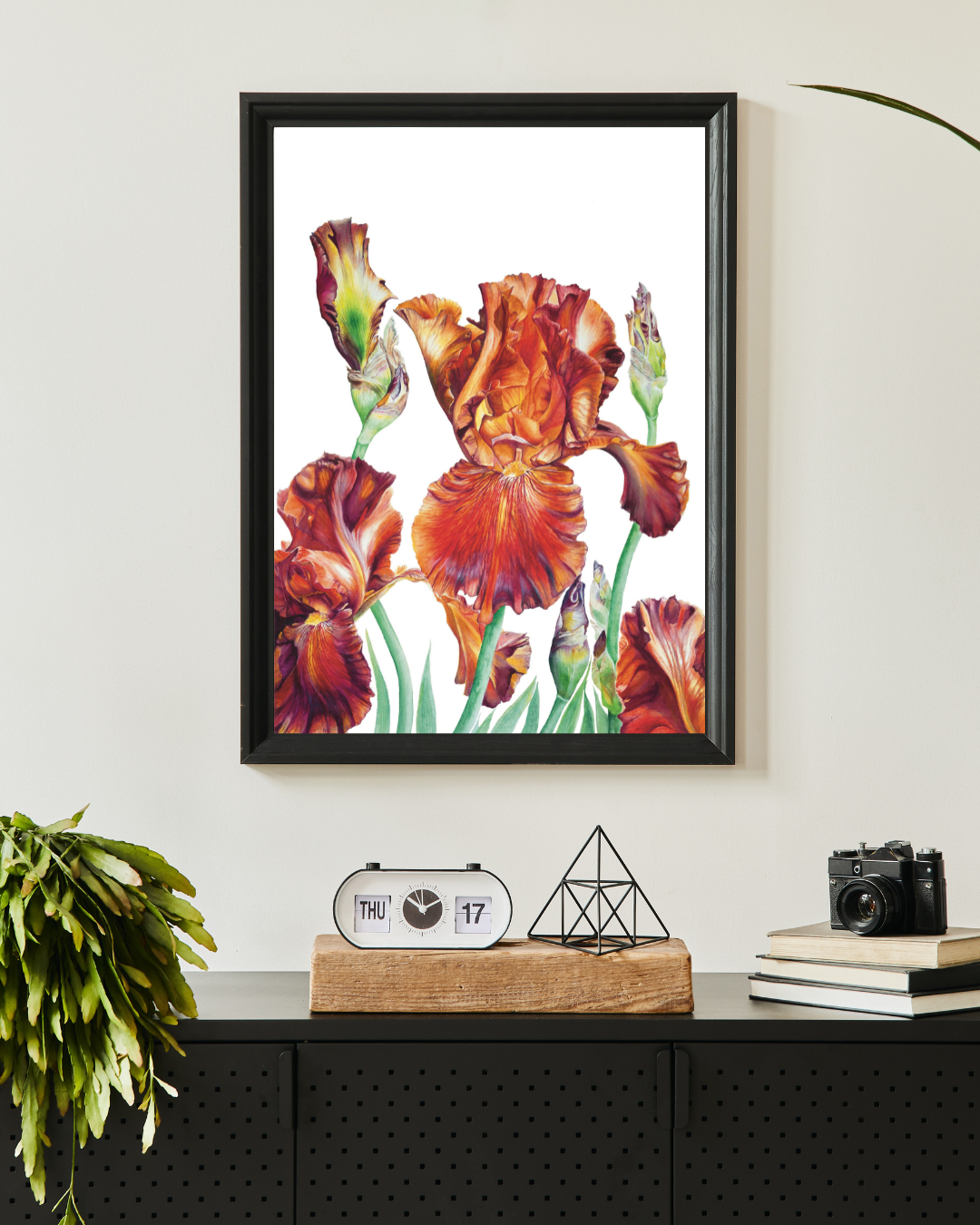 Carnival Time (White background) Limited Edition Prints