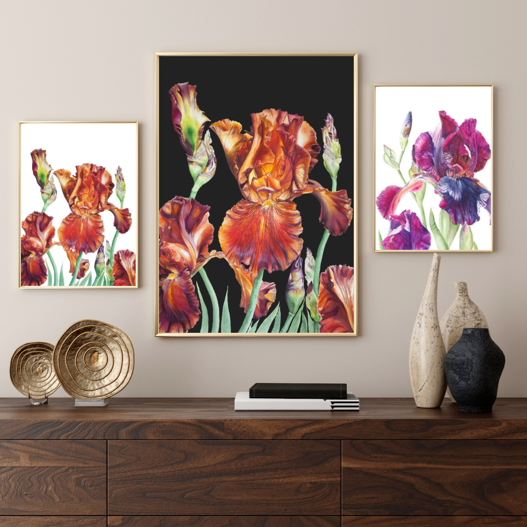 Carnival Time (Black background) Limited Edition Prints