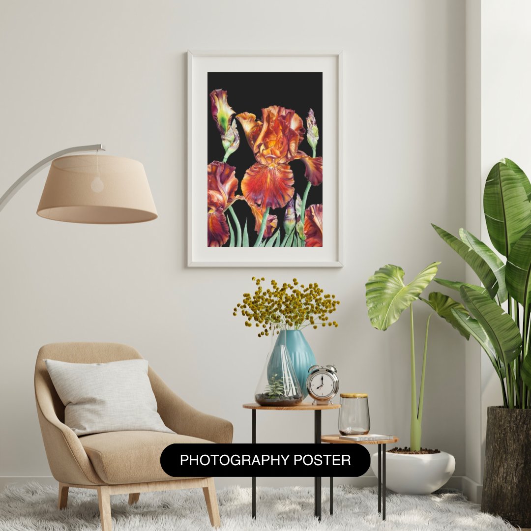 Carnival Time (Black background) Limited Edition Prints