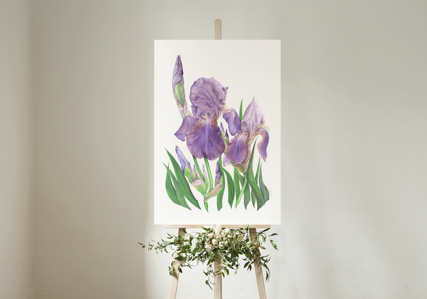 `Béotie’ Cayeux Historic Iris