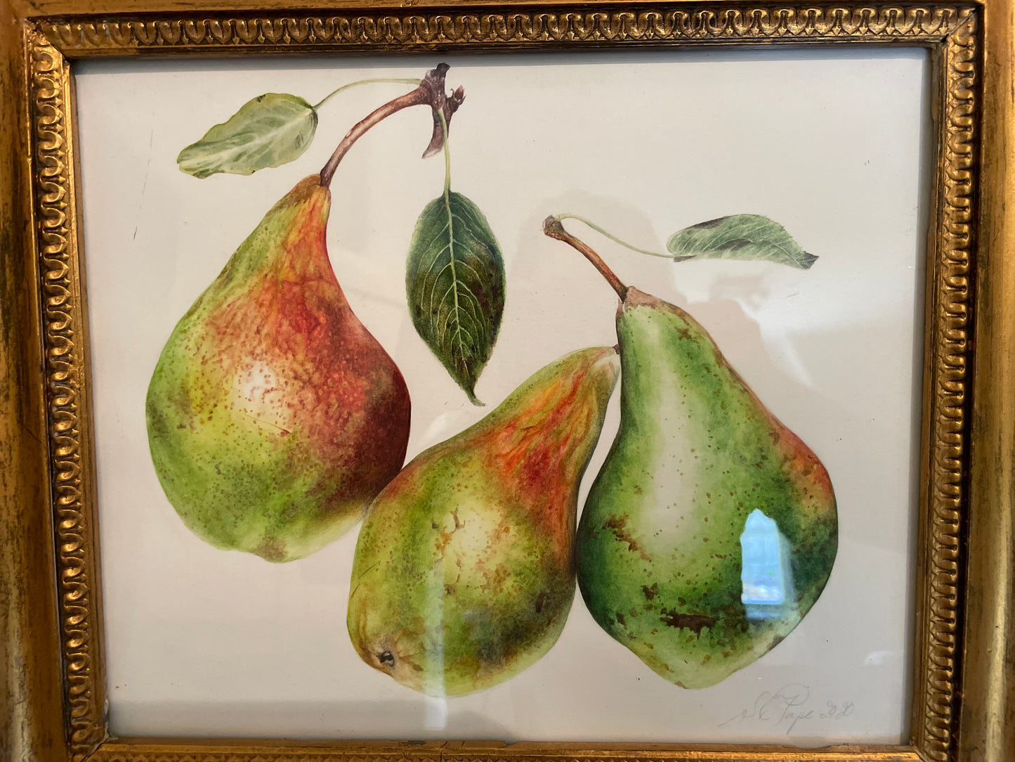 The Three Pears Original Watercolour