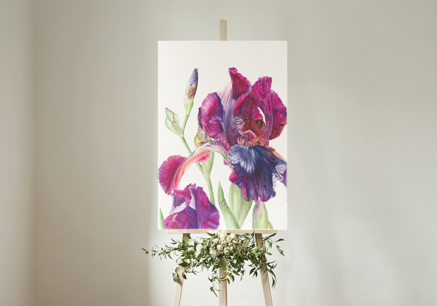 'Iris in the Sunlight'  Limited Edition Prints