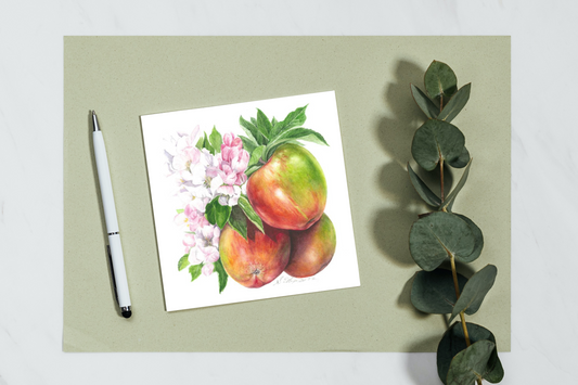 Blackmoor Estate Apples And Cherries Greeting Card Collection