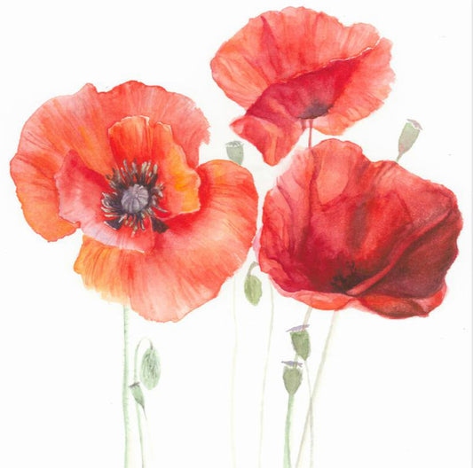 ˋPoppies´