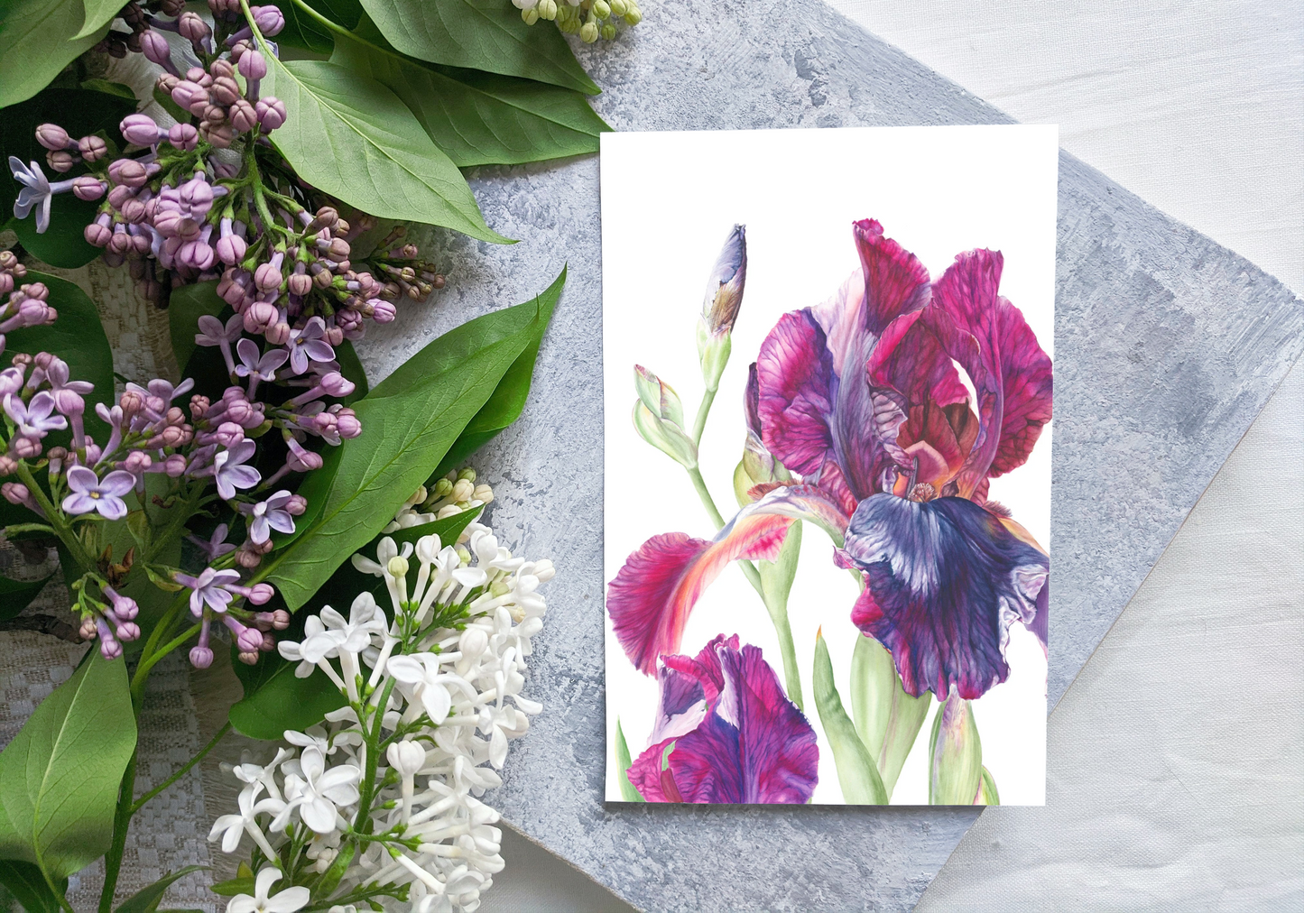 `Iris in The Sunlight’ Greetings Cards Collection